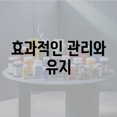 효과적인 관리와 유지