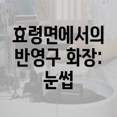 효령면에서의 반영구 화장: 눈썹