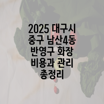 2025 대구시 중구 남산4동 반영구 화장 비용과 관리 총정리