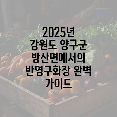 2025년 강원도 양구군 방산면에서의 반영구화장 완벽 가이드