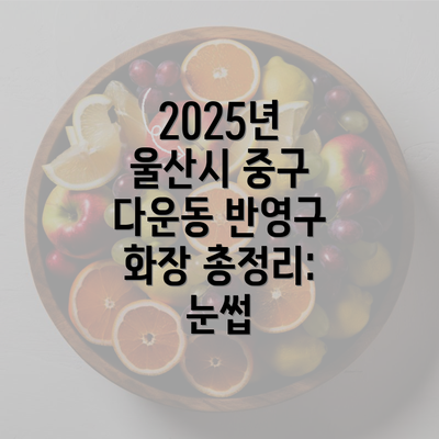 2025년 울산시 중구 다운동 반영구 화장 총정리: 눈썹