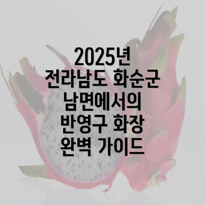 2025년 전라남도 화순군 남면에서의 반영구 화장 완벽 가이드