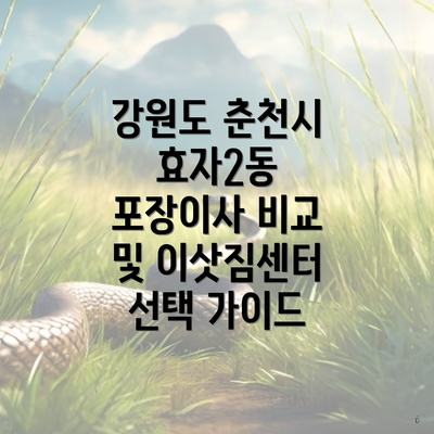 강원도 춘천시 효자2동 포장이사 비교 및 이삿짐센터 선택 가이드