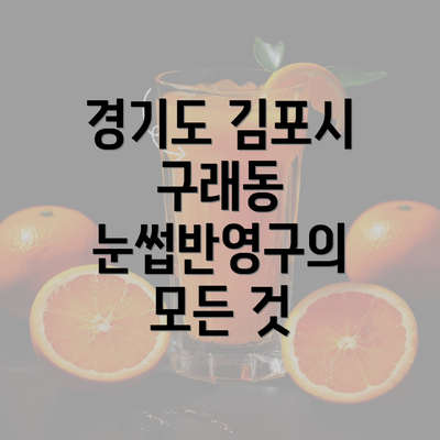 경기도 김포시 구래동 눈썹반영구의 모든 것