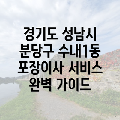 경기도 성남시 분당구 수내1동 포장이사 서비스 완벽 가이드