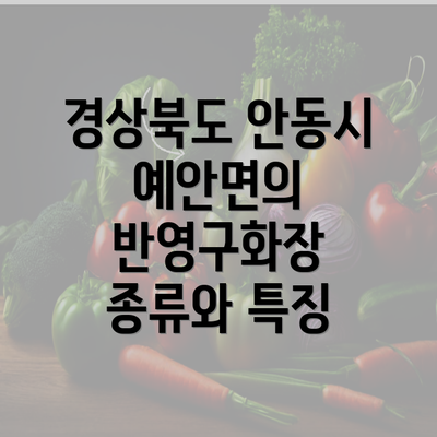 경상북도 안동시 예안면의 반영구화장 종류와 특징