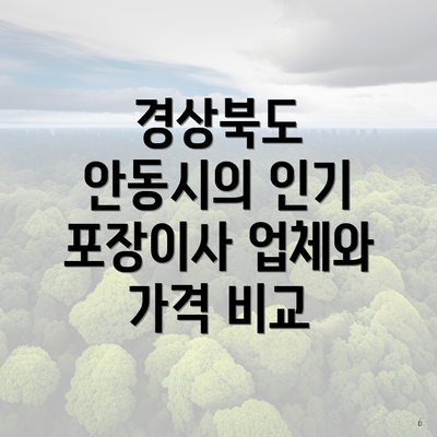 경상북도 안동시의 인기 포장이사 업체와 가격 비교