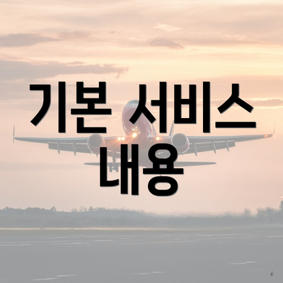 기본 서비스 내용