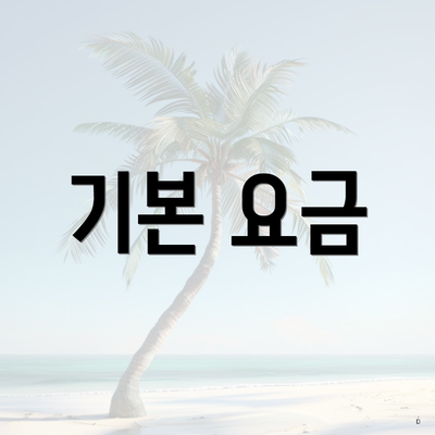 기본 요금