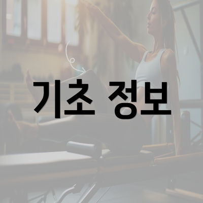 기초 정보