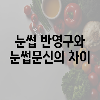 눈썹 반영구와 눈썹문신의 차이