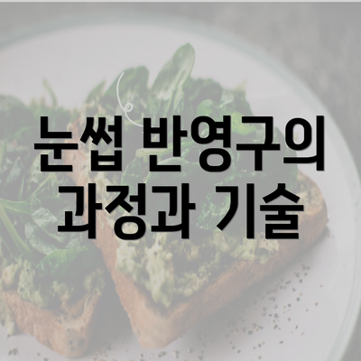 눈썹 반영구의 과정과 기술