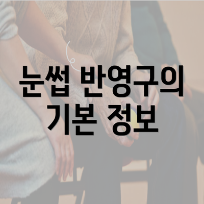 눈썹 반영구의 기본 정보