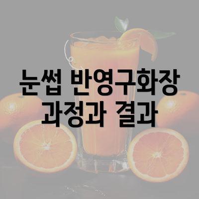 눈썹 반영구화장 과정과 결과