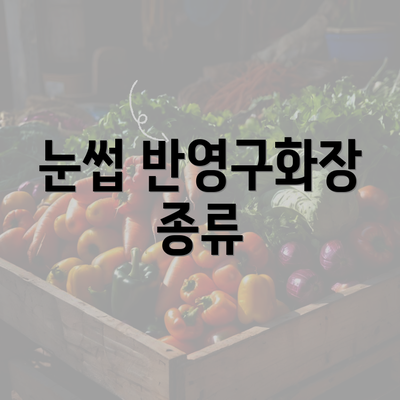 눈썹 반영구화장 종류