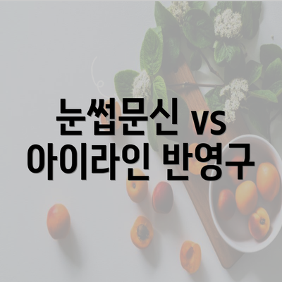 눈썹문신 vs 아이라인 반영구