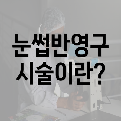 눈썹반영구 시술이란?