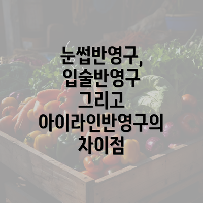 눈썹반영구, 입술반영구 그리고 아이라인반영구의 차이점