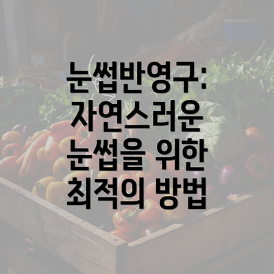 눈썹반영구: 자연스러운 눈썹을 위한 최적의 방법