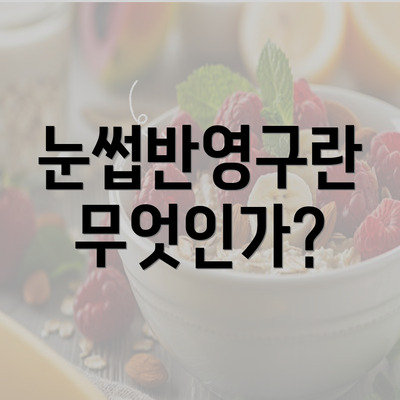 눈썹반영구란 무엇인가?