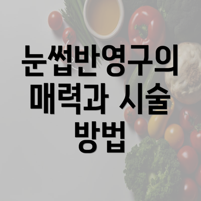 눈썹반영구의 매력과 시술 방법