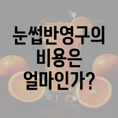 눈썹반영구의 비용은 얼마인가?