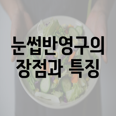 눈썹반영구의 장점과 특징