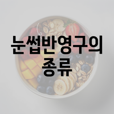 눈썹반영구의 종류