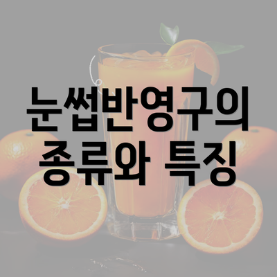 눈썹반영구의 종류와 특징