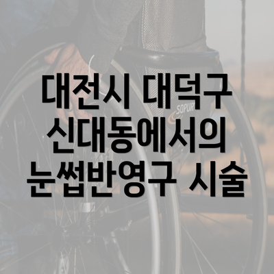 대전시 대덕구 신대동에서의 눈썹반영구 시술