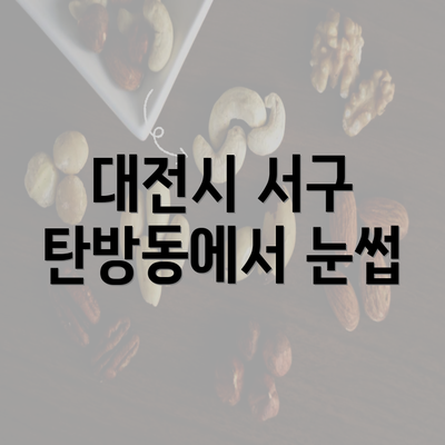 대전시 서구 탄방동에서 눈썹