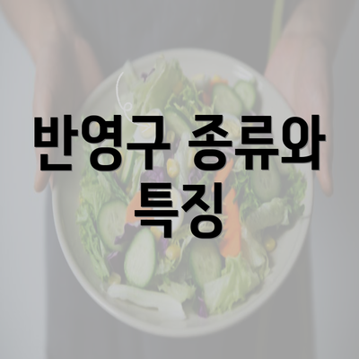 반영구 종류와 특징