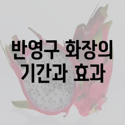 반영구 화장의 기간과 효과