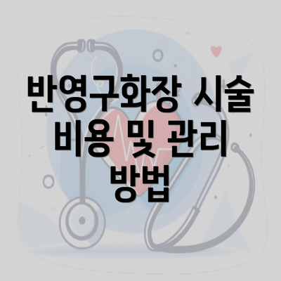 반영구화장 시술 비용 및 관리 방법