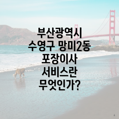 부산광역시 수영구 망미2동 포장이사 서비스란 무엇인가?