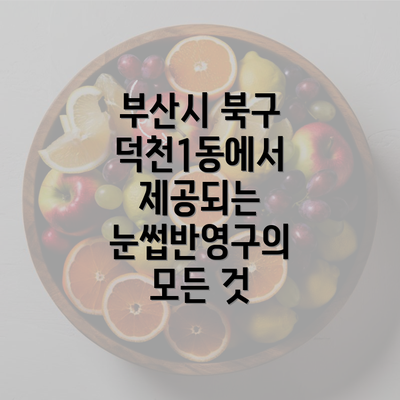 부산시 북구 덕천1동에서 제공되는 눈썹반영구의 모든 것