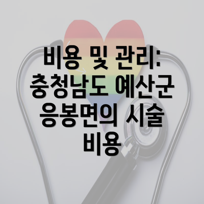 비용 및 관리: 충청남도 예산군 응봉면의 시술 비용