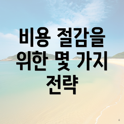 비용 절감을 위한 몇 가지 전략