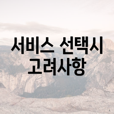 서비스 선택시 고려사항