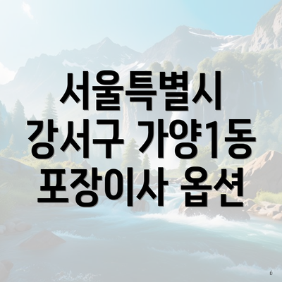 서울특별시 강서구 가양1동 포장이사 옵션