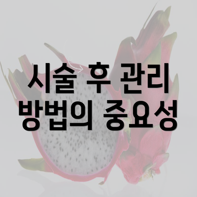 시술 후 관리 방법의 중요성