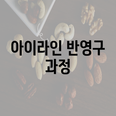 아이라인 반영구 과정