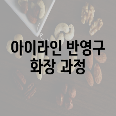 아이라인 반영구 화장 과정