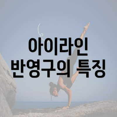 아이라인 반영구의 특징