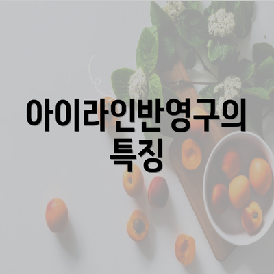 아이라인반영구의 특징