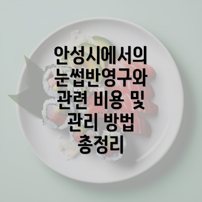 안성시에서의 눈썹반영구와 관련 비용 및 관리 방법 총정리