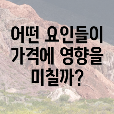 어떤 요인들이 가격에 영향을 미칠까?