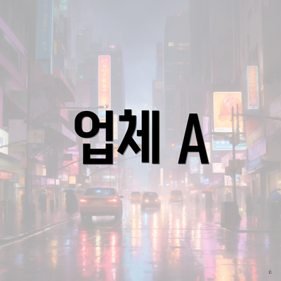 업체 A