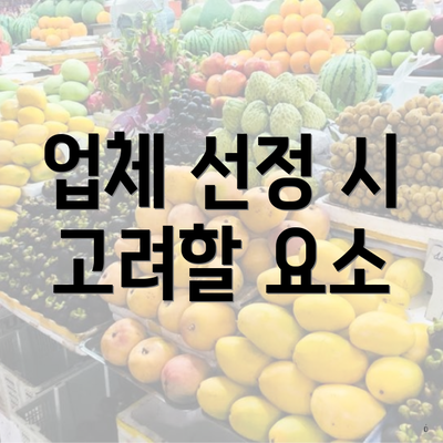 업체 선정 시 고려할 요소