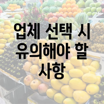 업체 선택 시 유의해야 할 사항